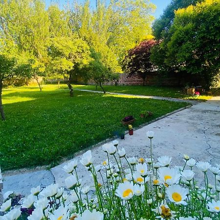 فيلا Casa Vacacional Galiana أفيليس المظهر الخارجي الصورة