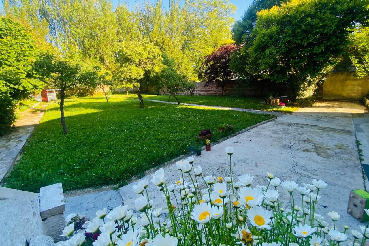 فيلا Casa Vacacional Galiana أفيليس المظهر الخارجي الصورة